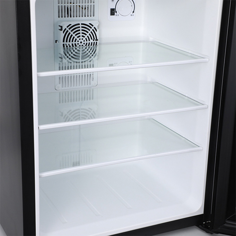 Wine Beer Cooler Fridge - Mini frigorifero da 40 litri, porta