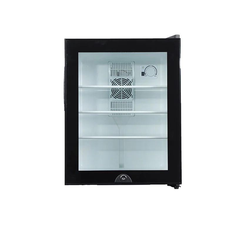 Mini frigorifero da 40 litri,  - Wine Beer Cooler Fridge recensione e prezzo