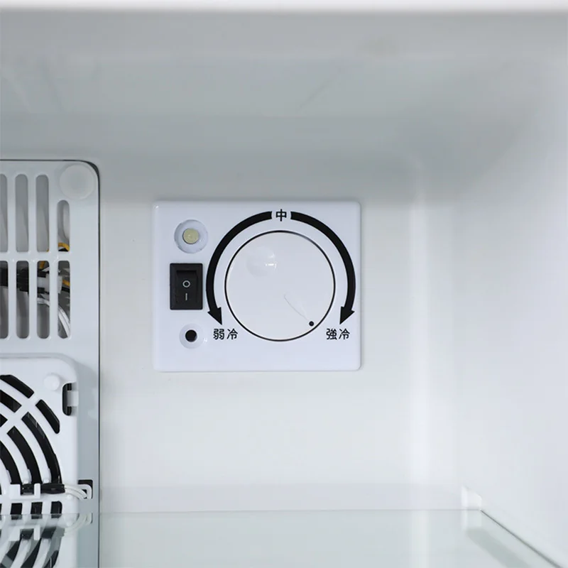 Mini frigorifero da 40 litri,  - Wine Beer Cooler Fridge recensione e prezzo