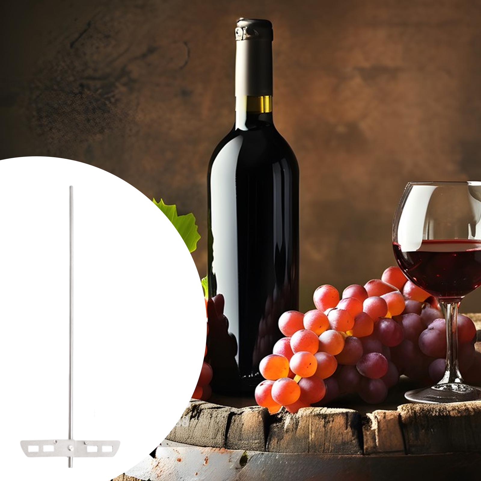 Agitatore per miscelazione di  - Wine In Beer recensione e prezzo